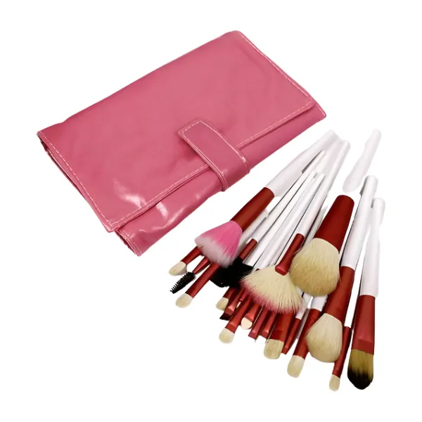 20pc Professional Brush Set in Pink Leather Pouch