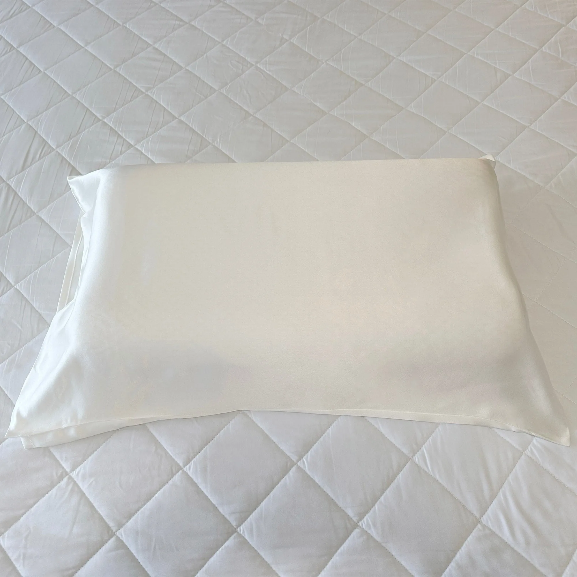 OSCAR ROSSA 19mm 100% Pure Mulberry Silk Pillowcase with 7" Envelope Enclosure